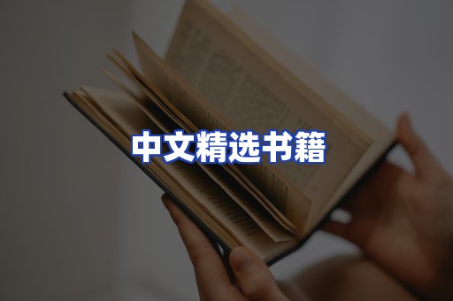 中文精选书籍